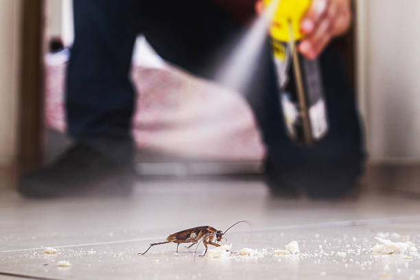 Best Commercial Pest Control Services  in Mckee City, NJ